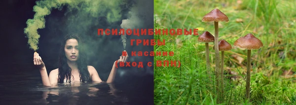 прущая мука Зеленокумск
