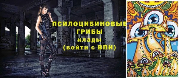 твердый Зеленодольск