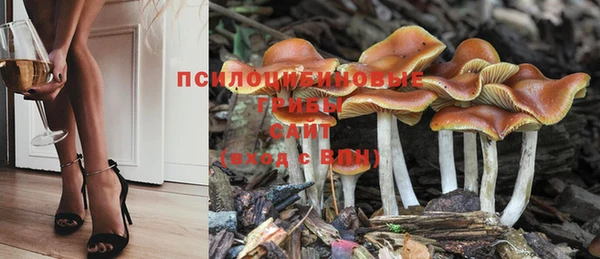 твердый Зеленодольск
